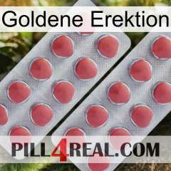 Golden Erection 19